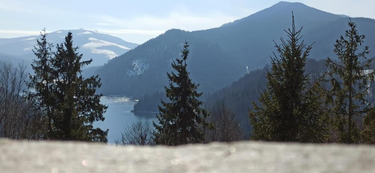 Craiasa Draganului Daire Valea Drăganului Dış mekan fotoğraf