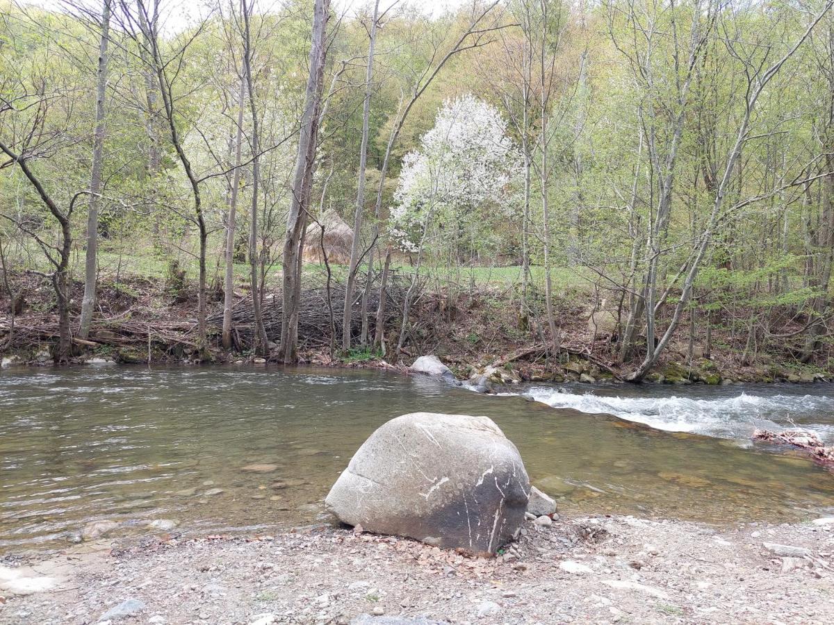 Craiasa Draganului Daire Valea Drăganului Dış mekan fotoğraf